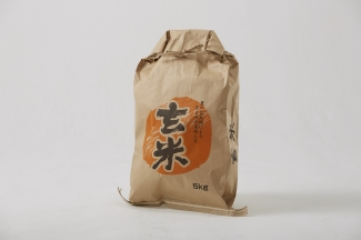 米規格 ミシン底 ひも付き紙袋